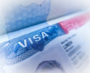 Texas-TN-VIsa