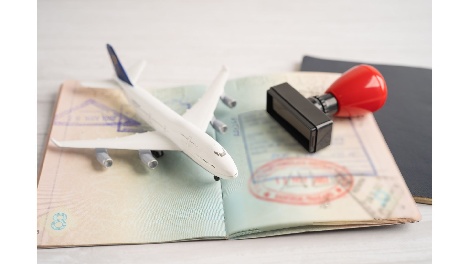 Deportation Cases in NY