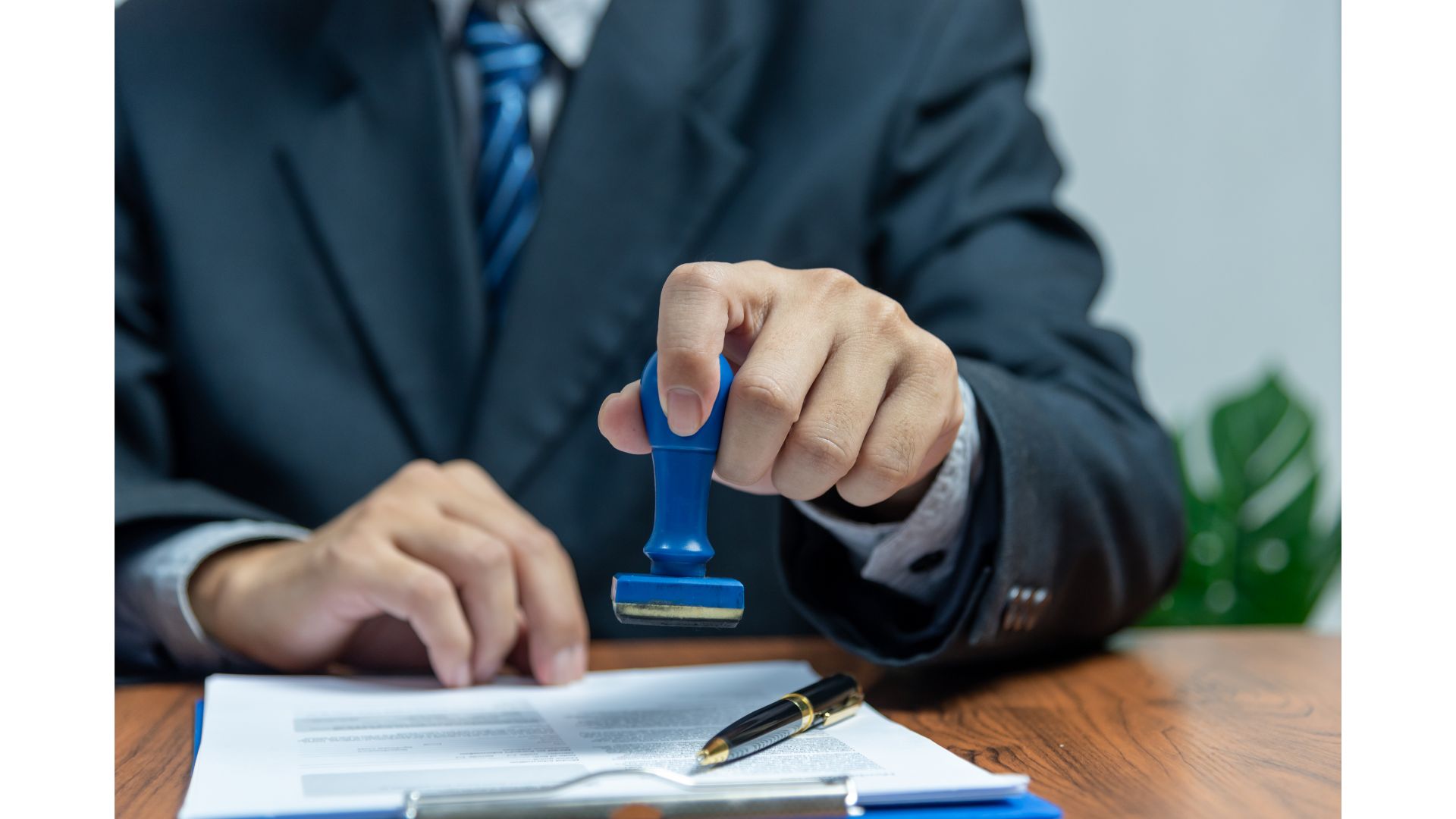 Removal Vs Deportation in NY